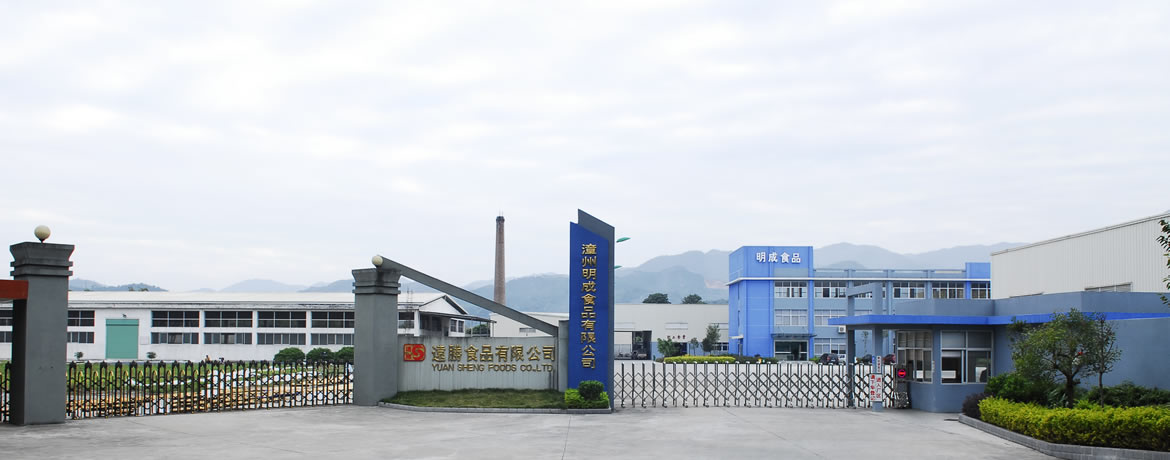 bamhoo shoot manufacturers