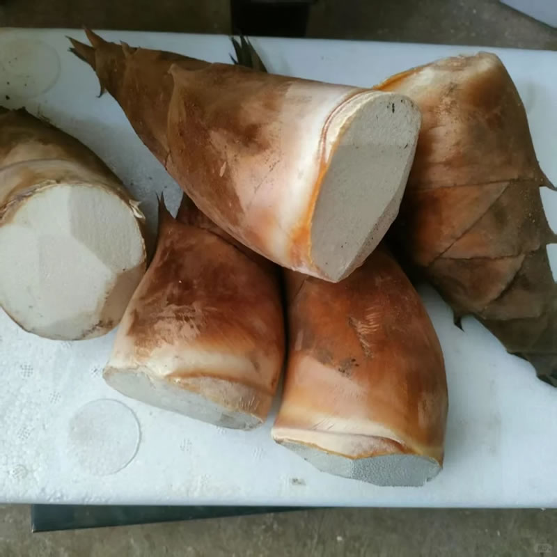 China bamboo shoot recipes