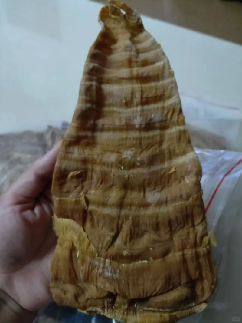 China bamboo shoot wholesale