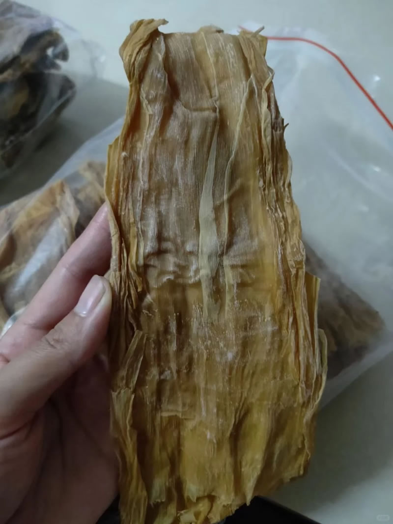Fresh bamboo shoots supplier