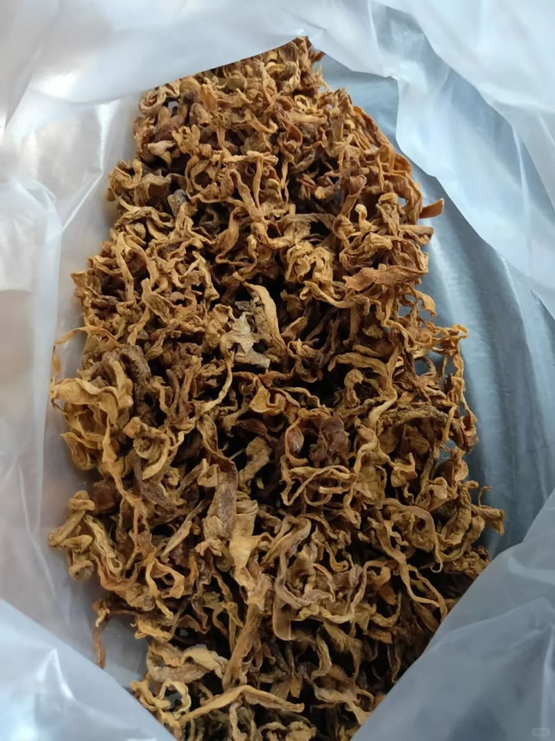 Fresh bamboo shoots supplier