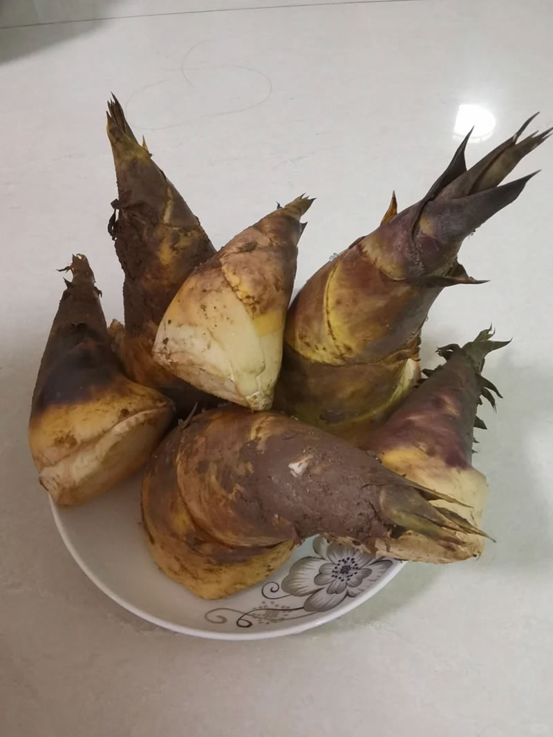 Is bamboo shoot good for health