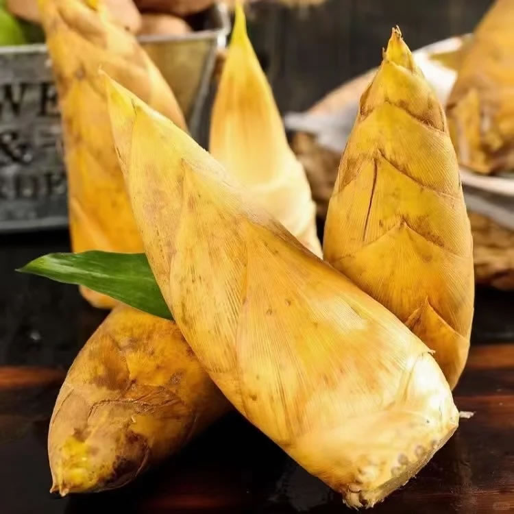 Is bamboo shoot good for health