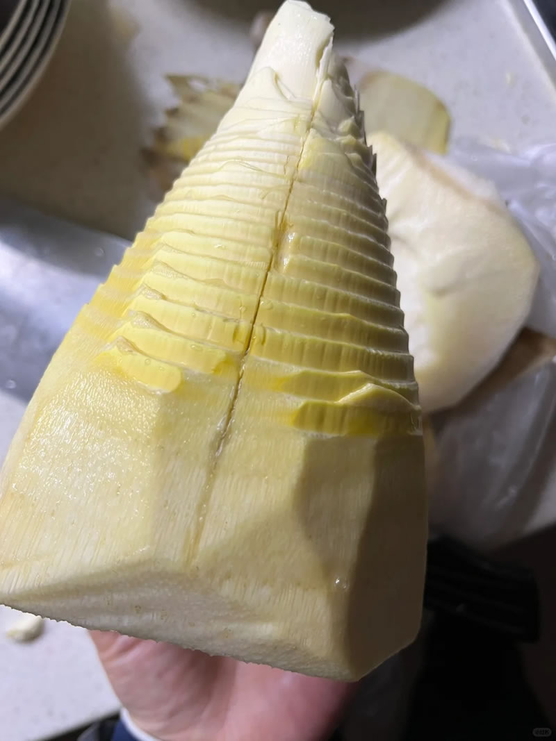 Winter bamboo shoot