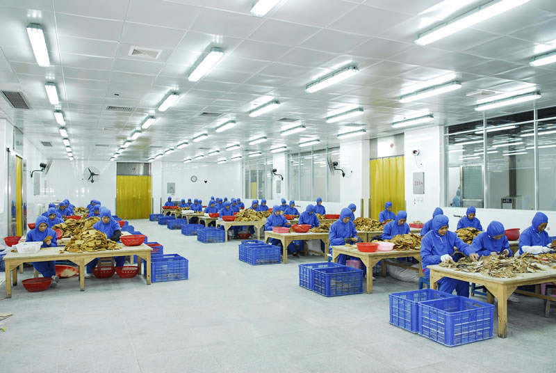 dried bamboo shoots wholesale distributors