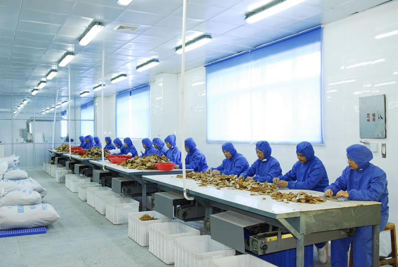 dried bamboo shoots wholesale distributors