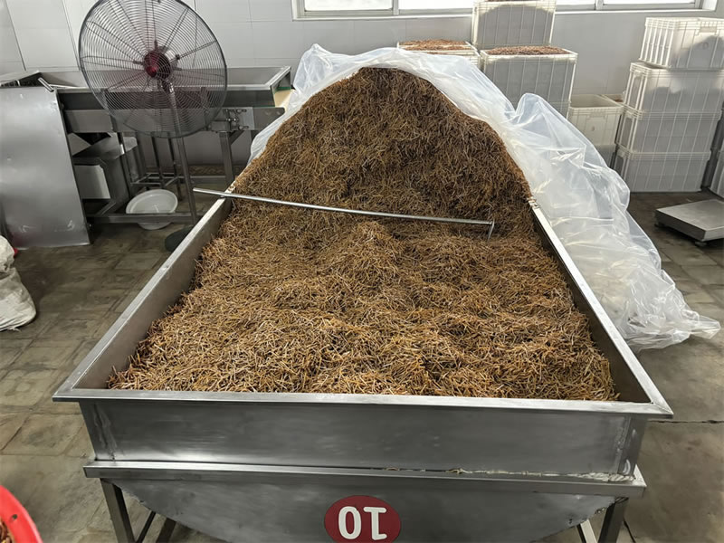 dried bamboo shoots wholesale distributors