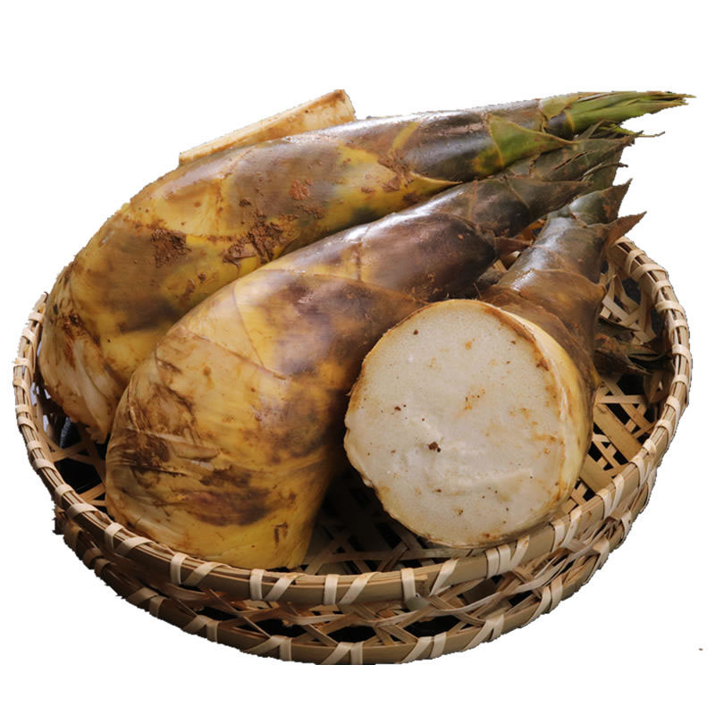 bamboo shoots canned