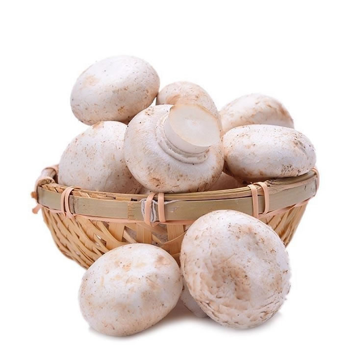 Agaricus Bisporus canned food