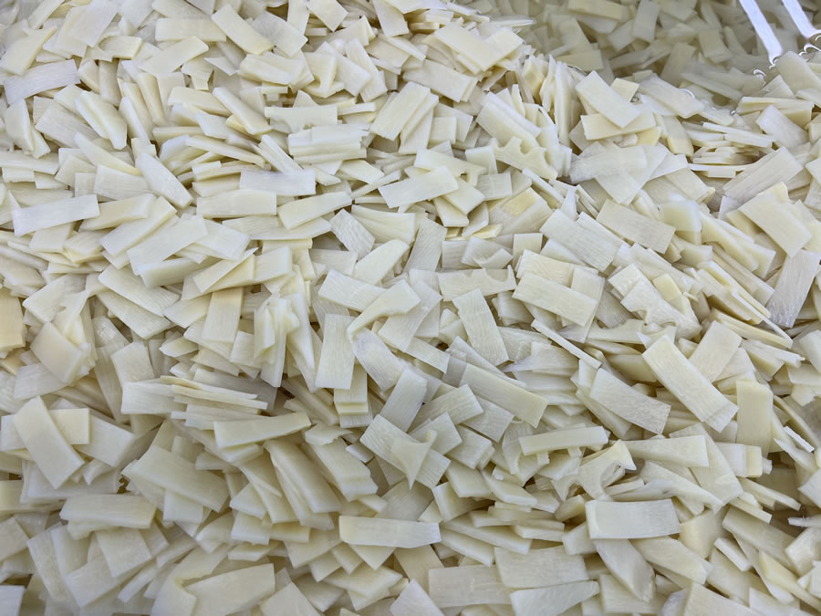 prepare bamboo shoots for eating