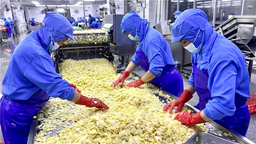 Bamboo shoot tips wholesale